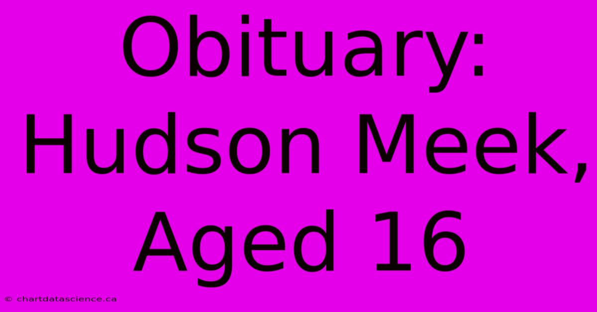 Obituary: Hudson Meek, Aged 16