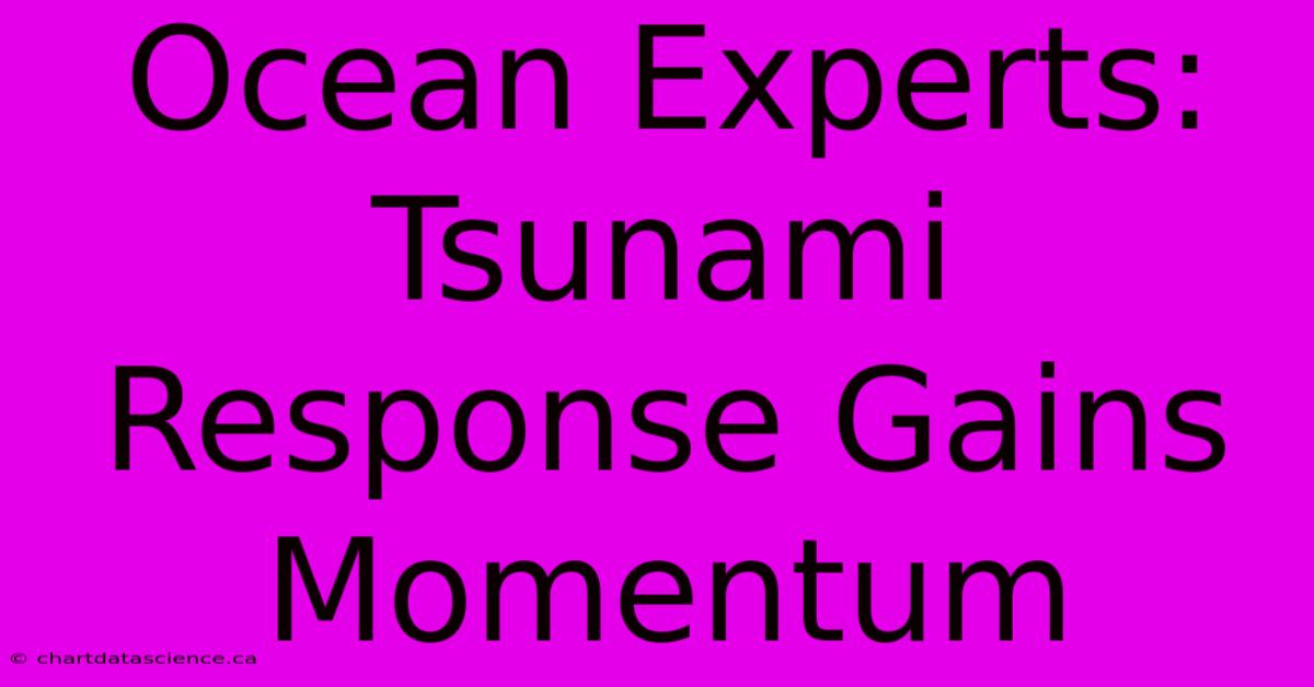 Ocean Experts: Tsunami Response Gains Momentum