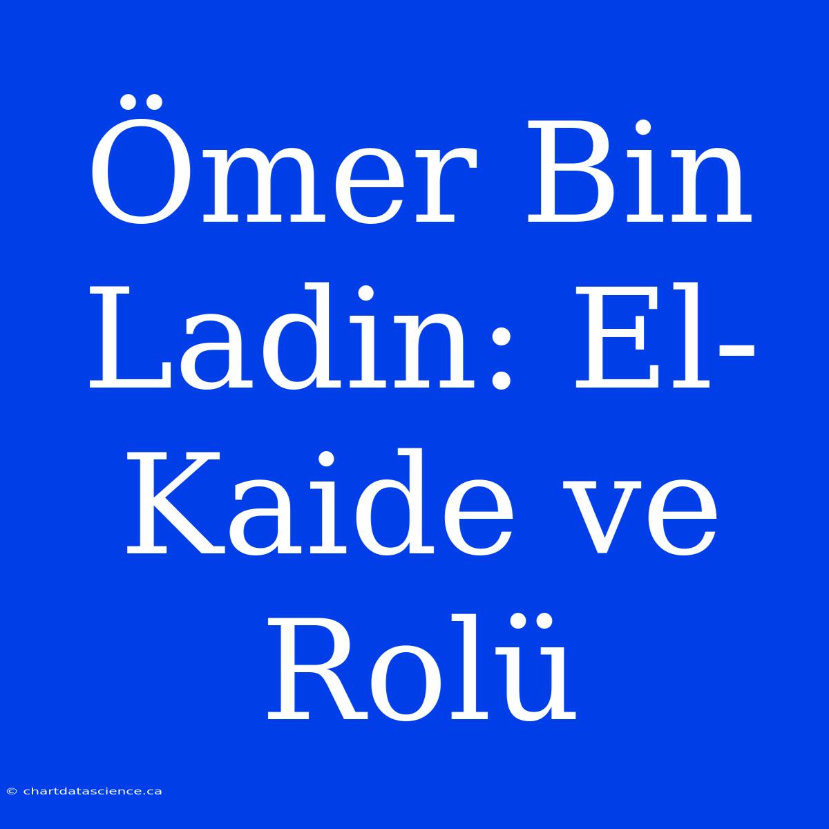 Ömer Bin Ladin: El-Kaide Ve Rolü