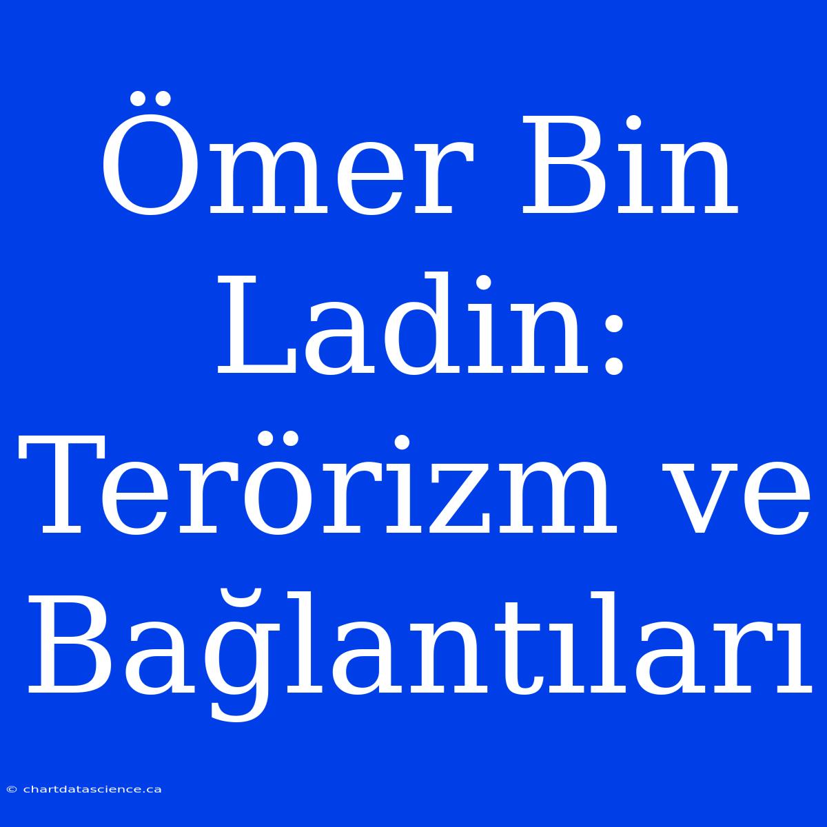 Ömer Bin Ladin: Terörizm Ve Bağlantıları