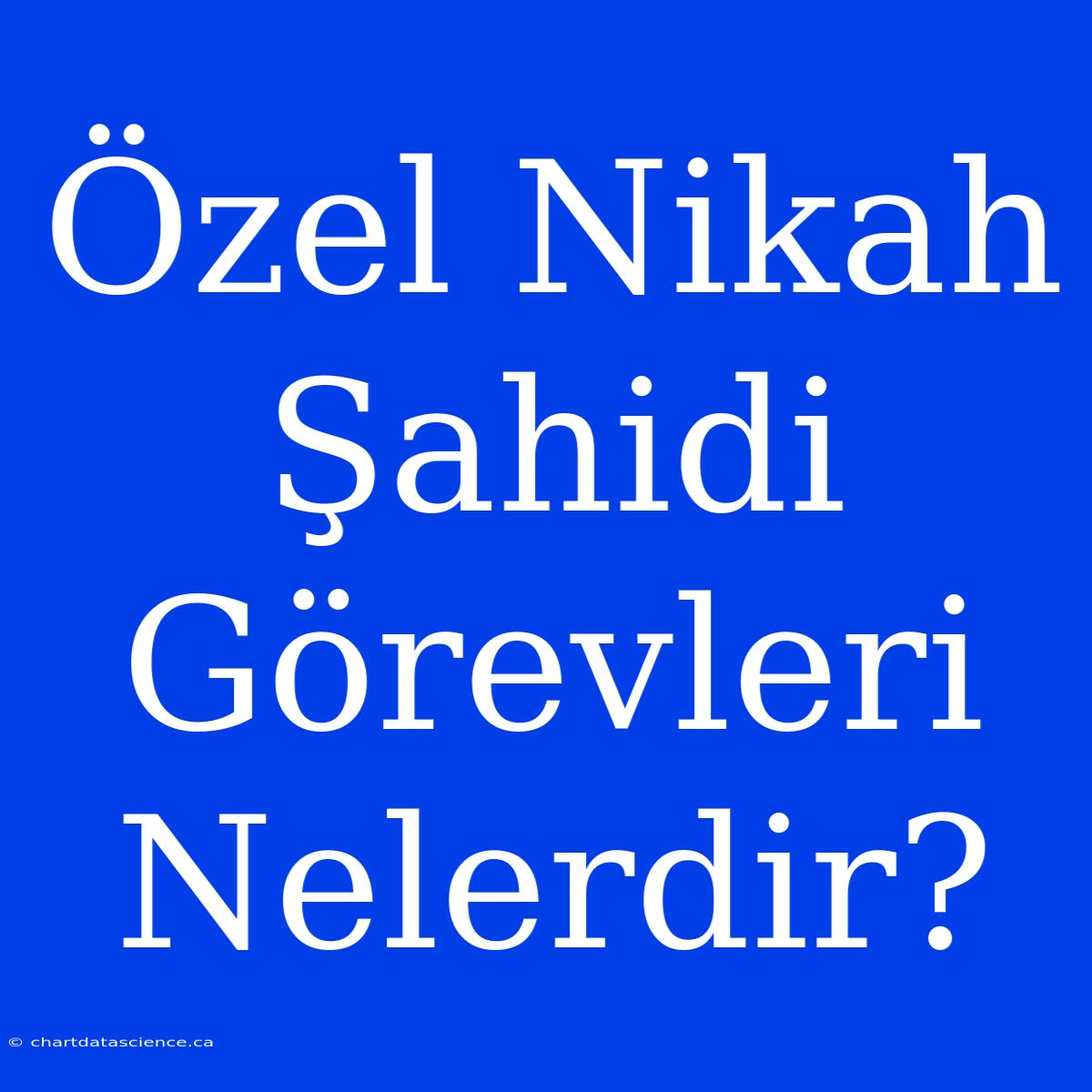 Özel Nikah Şahidi Görevleri Nelerdir?