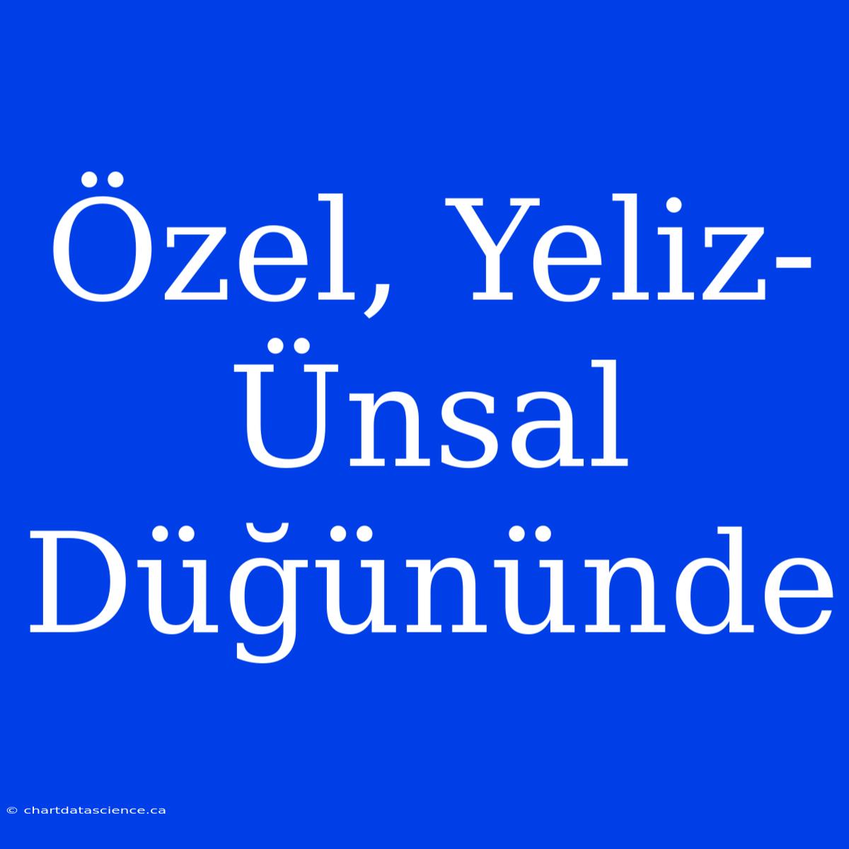 Özel, Yeliz-Ünsal Düğününde