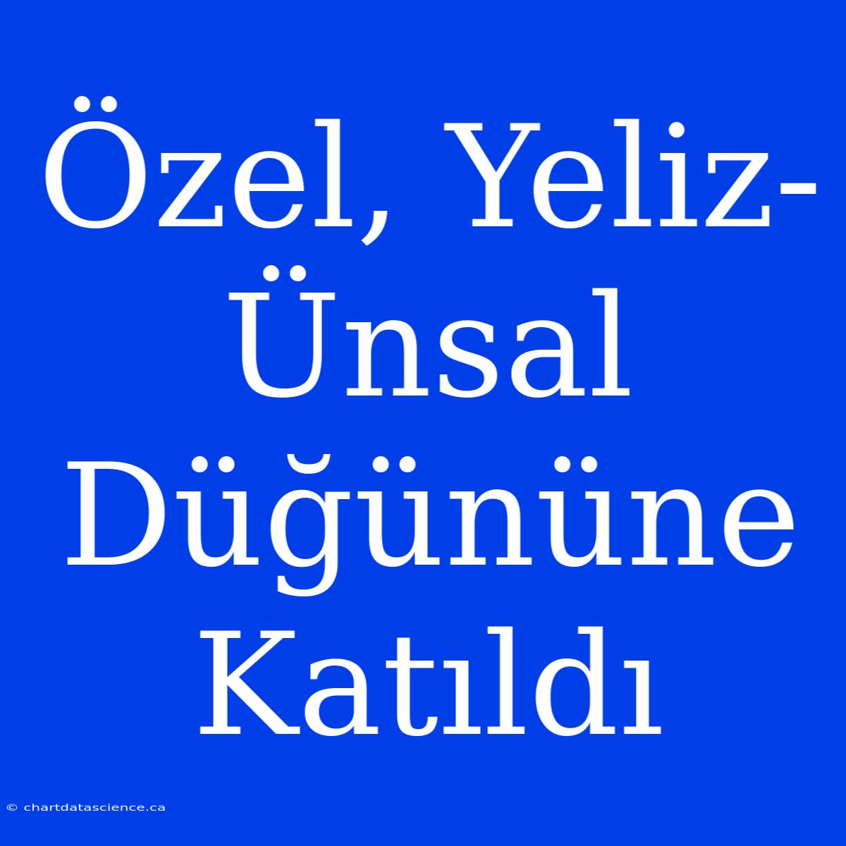 Özel, Yeliz-Ünsal Düğününe Katıldı