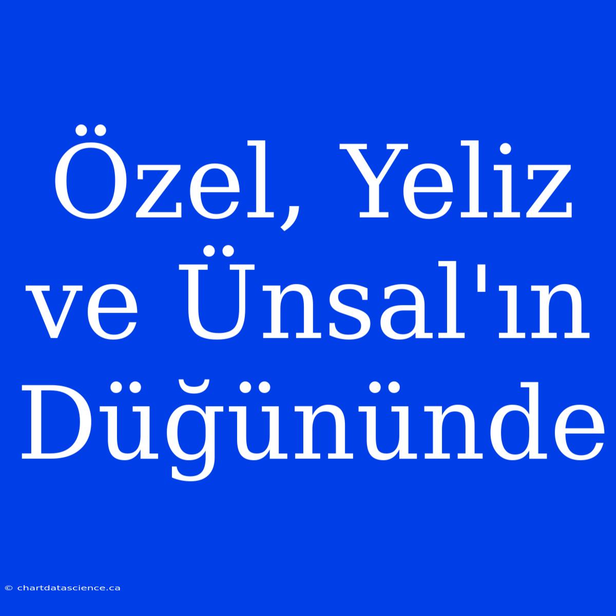 Özel, Yeliz Ve Ünsal'ın Düğününde