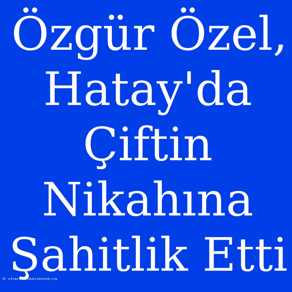 Özgür Özel, Hatay'da Çiftin Nikahına Şahitlik Etti