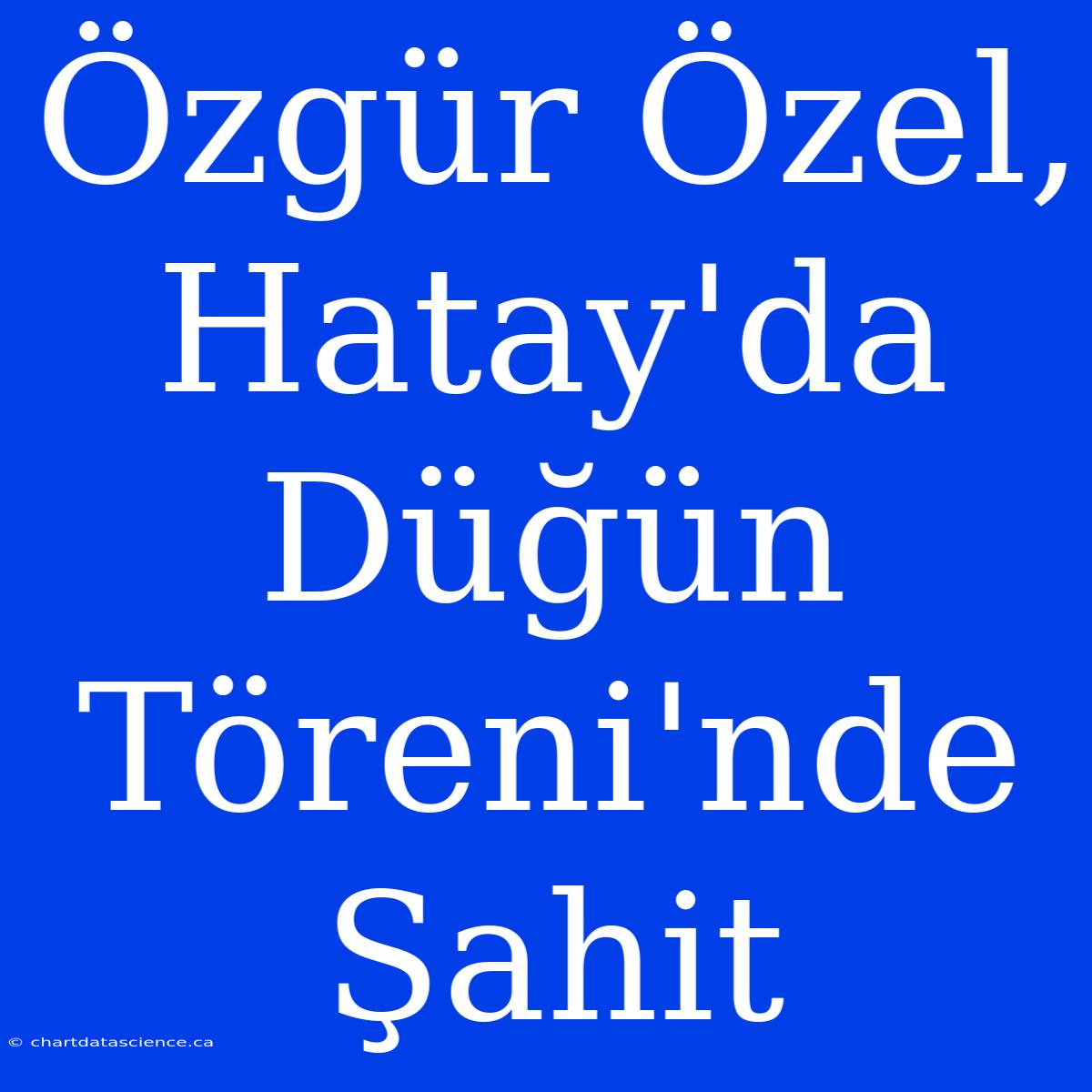 Özgür Özel, Hatay'da Düğün Töreni'nde Şahit