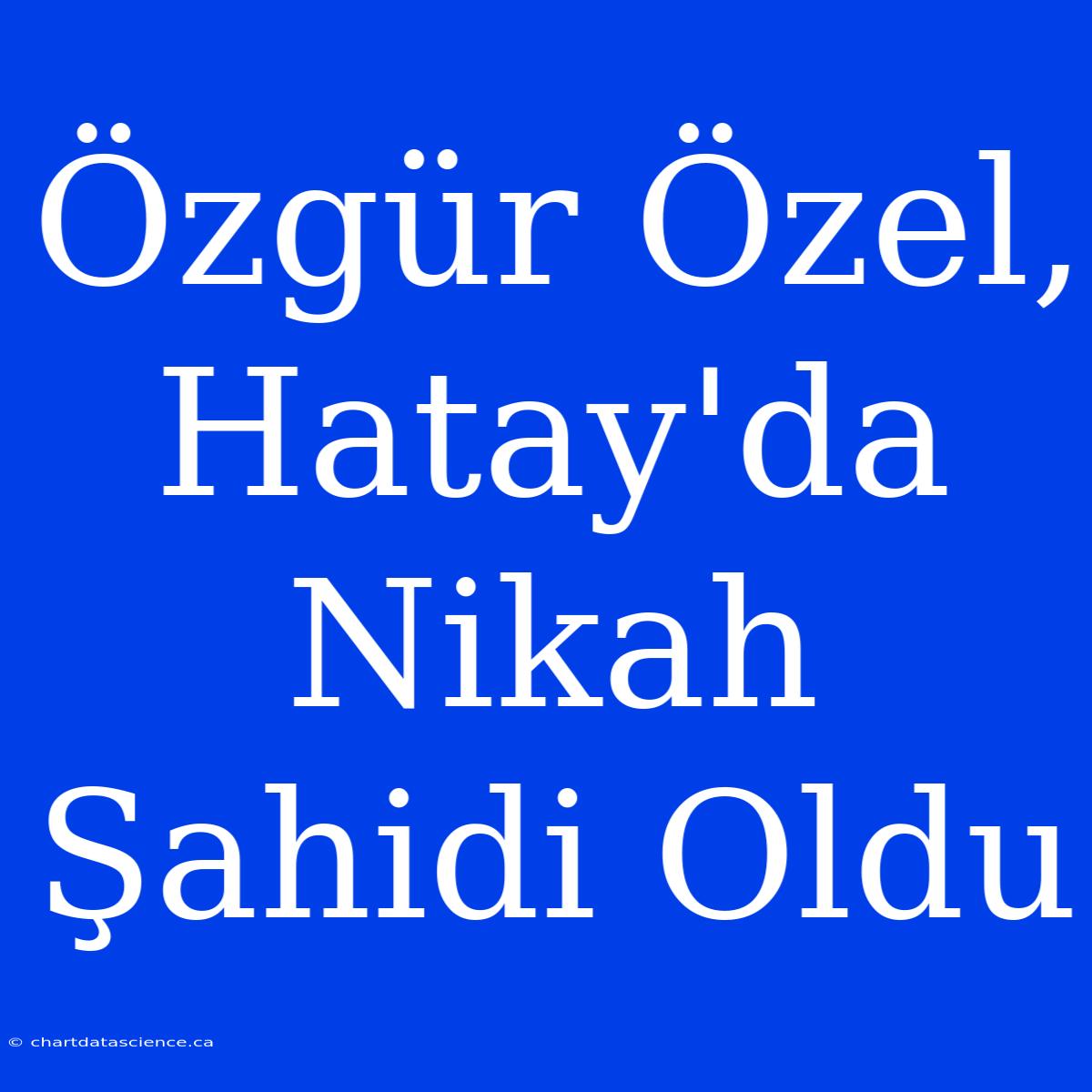 Özgür Özel, Hatay'da Nikah Şahidi Oldu