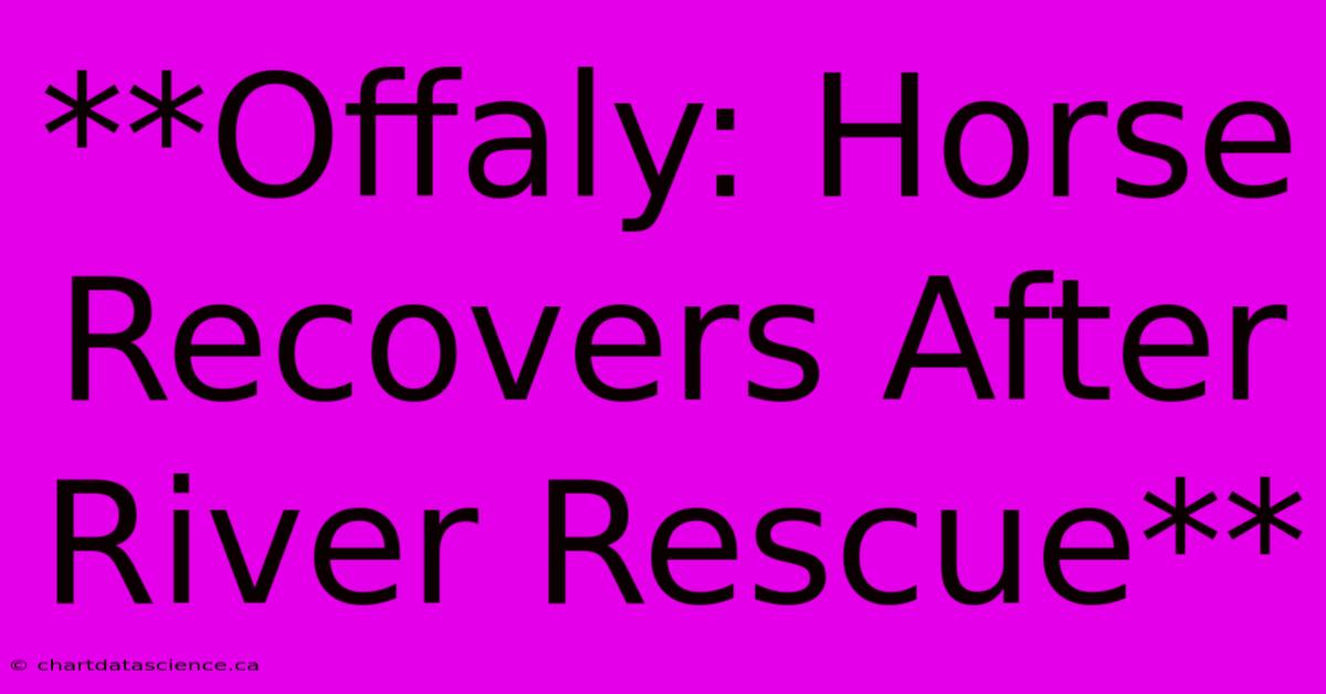 **Offaly: Horse Recovers After River Rescue** 