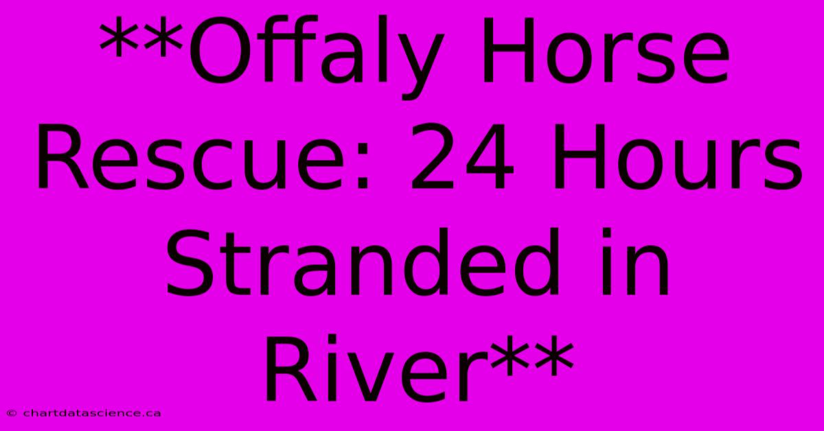 **Offaly Horse Rescue: 24 Hours Stranded In River**