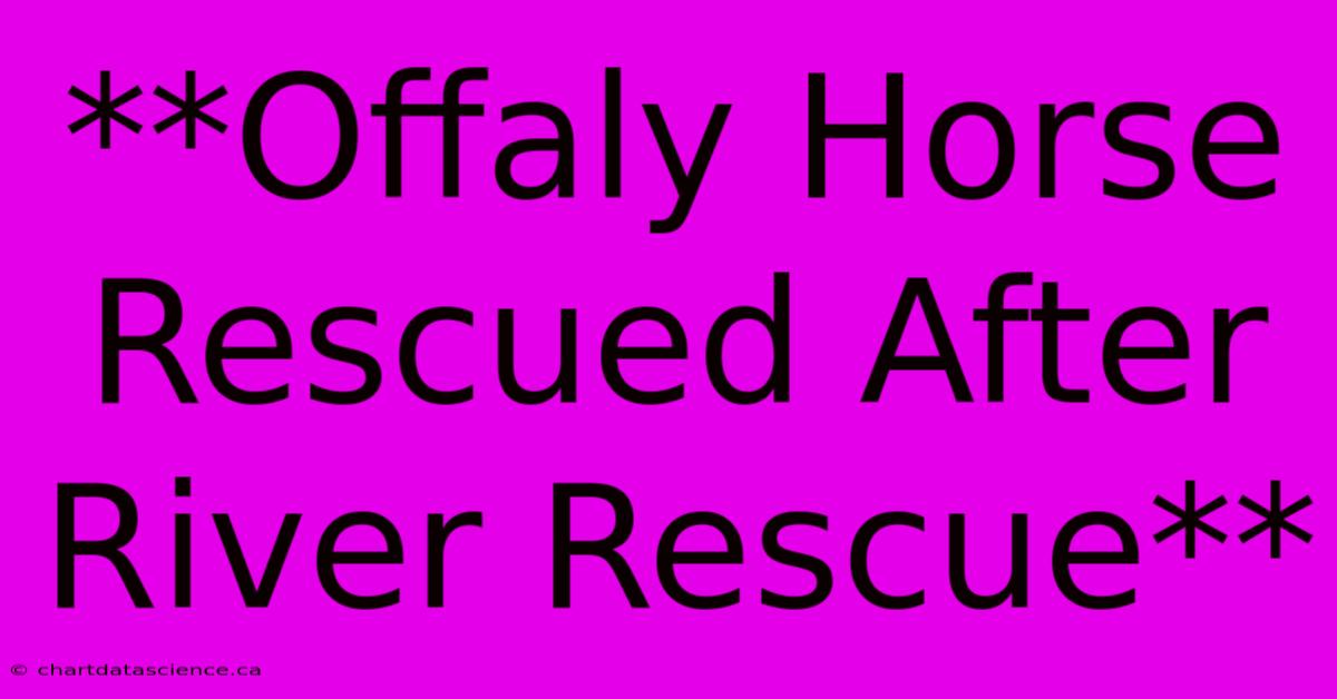 **Offaly Horse Rescued After River Rescue**