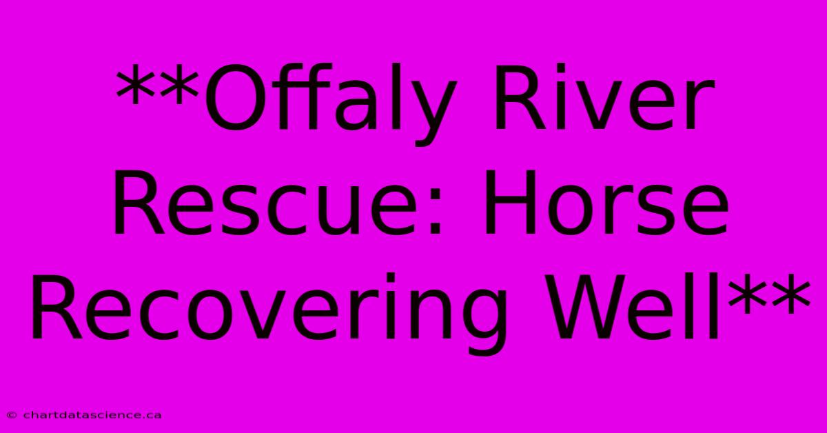 **Offaly River Rescue: Horse Recovering Well**