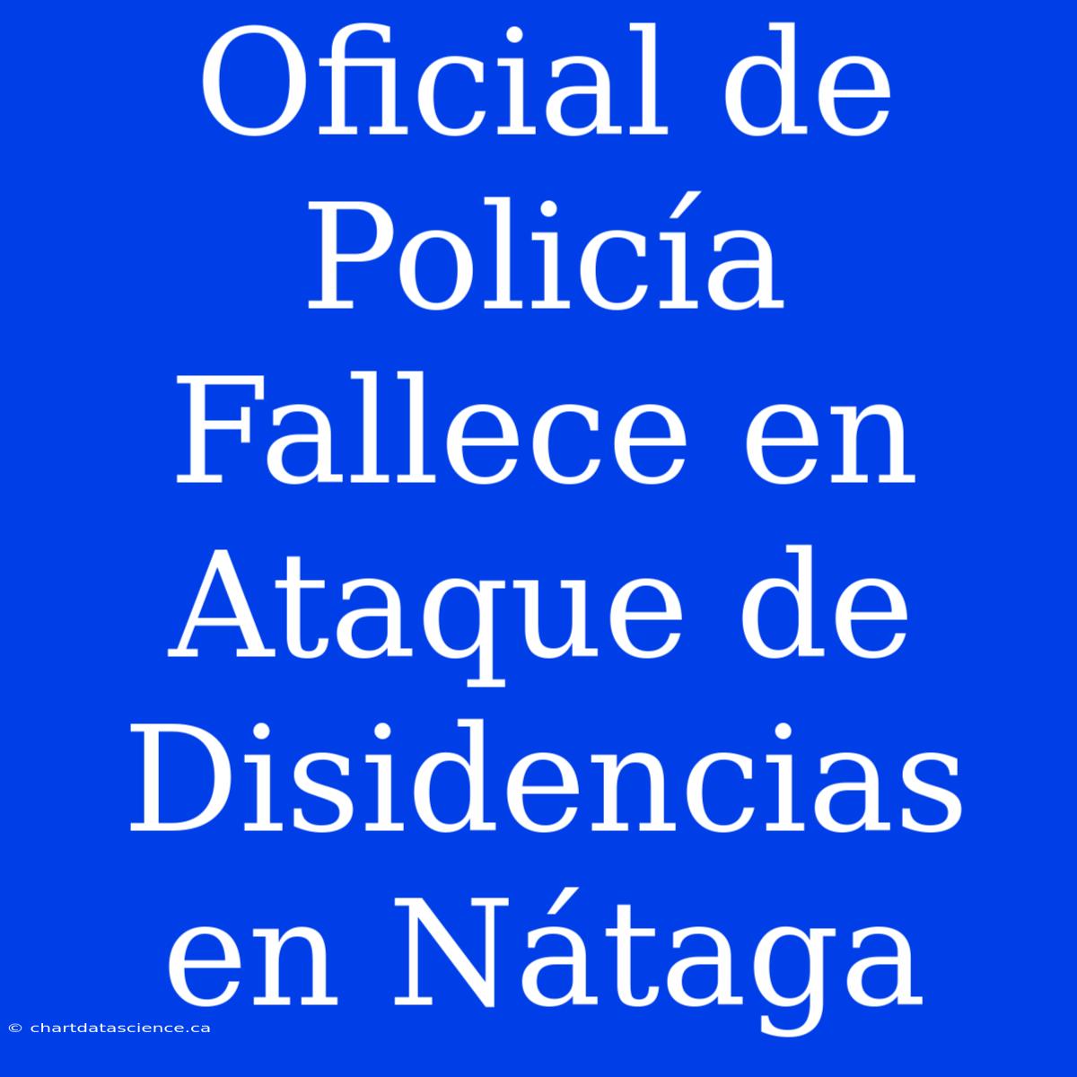 Oficial De Policía Fallece En Ataque De Disidencias En Nátaga