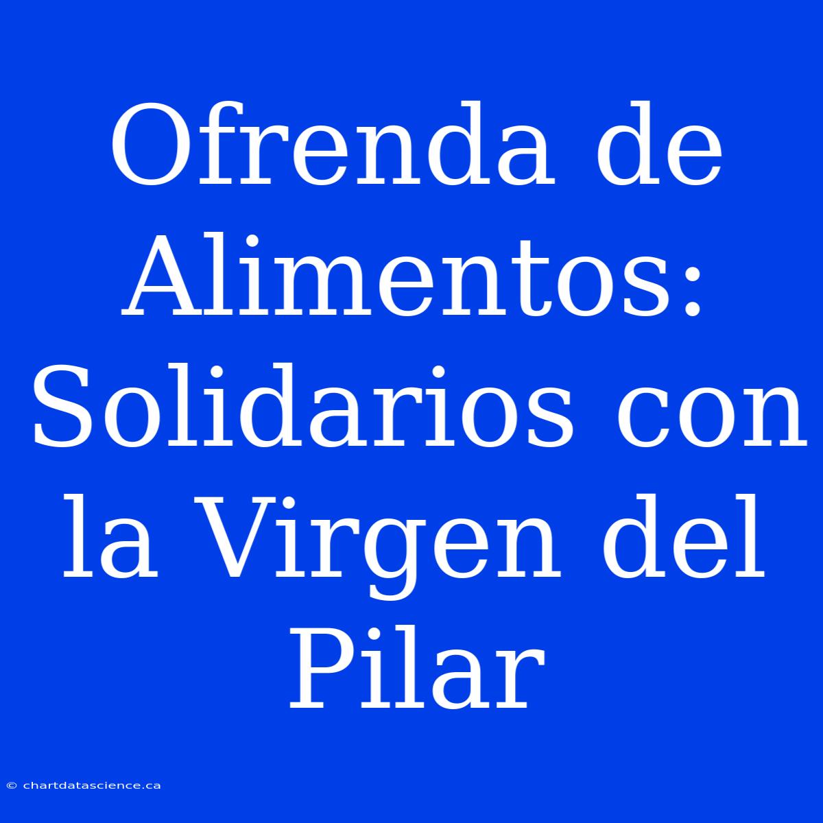 Ofrenda De Alimentos: Solidarios Con La Virgen Del Pilar