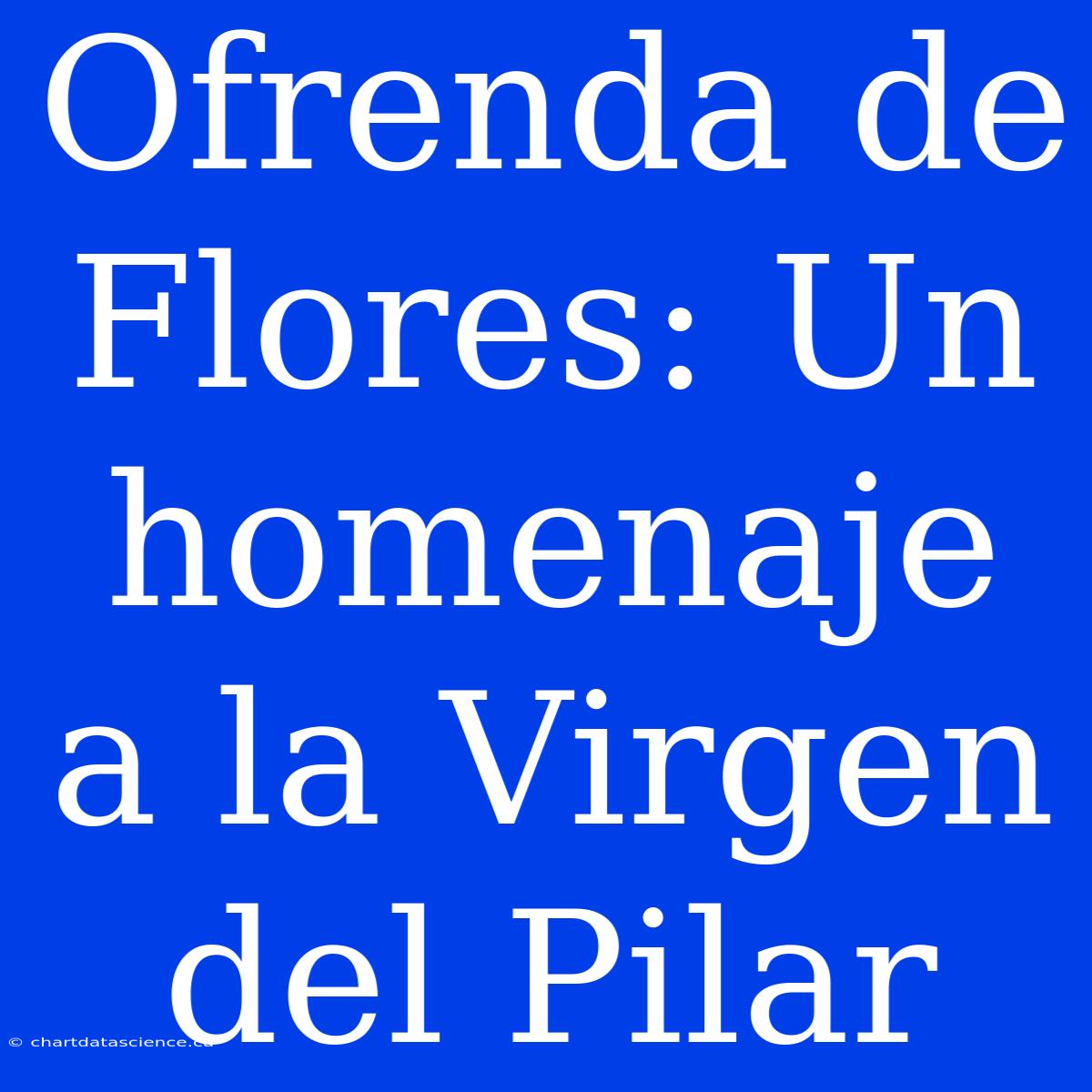 Ofrenda De Flores: Un Homenaje A La Virgen Del Pilar