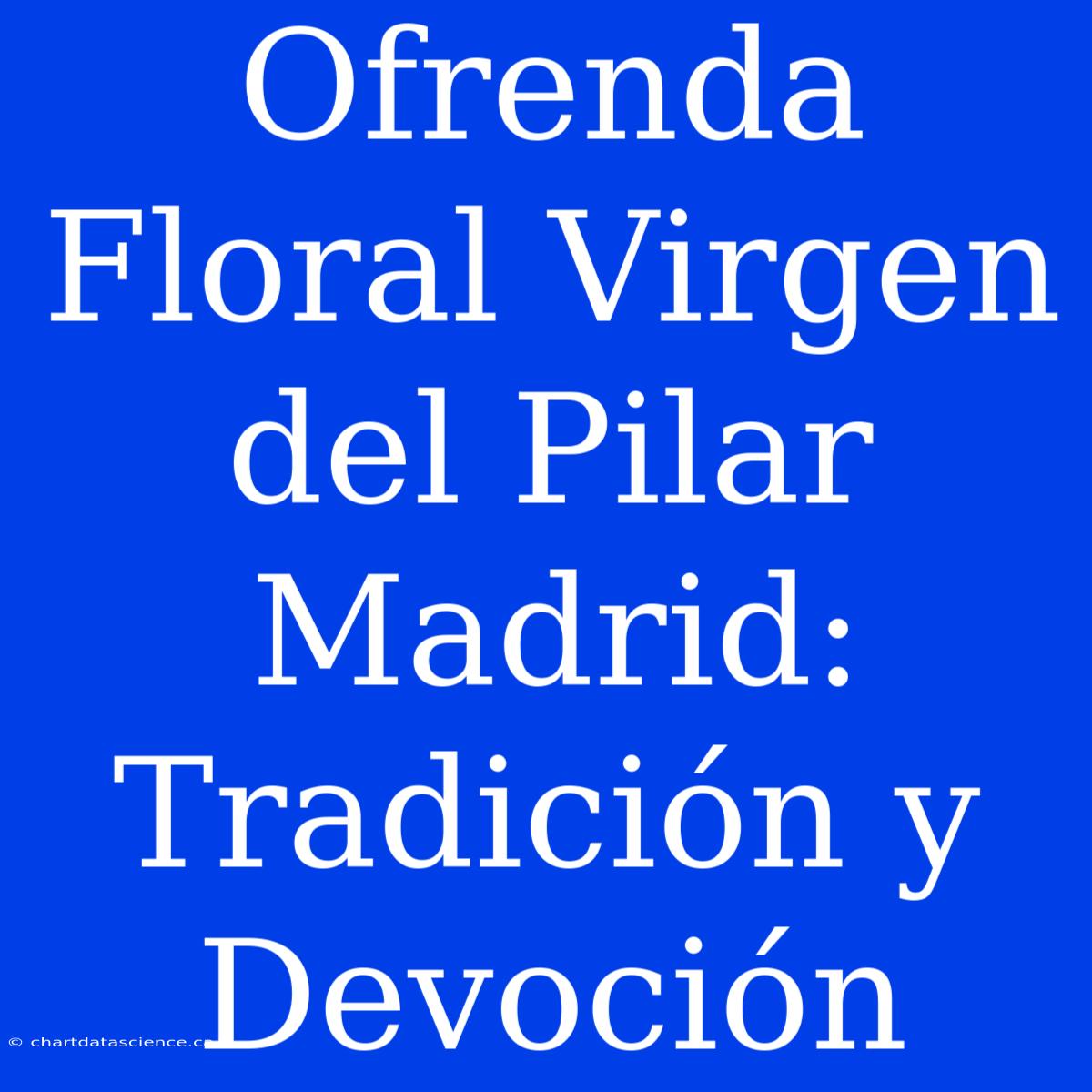 Ofrenda Floral Virgen Del Pilar Madrid: Tradición Y Devoción