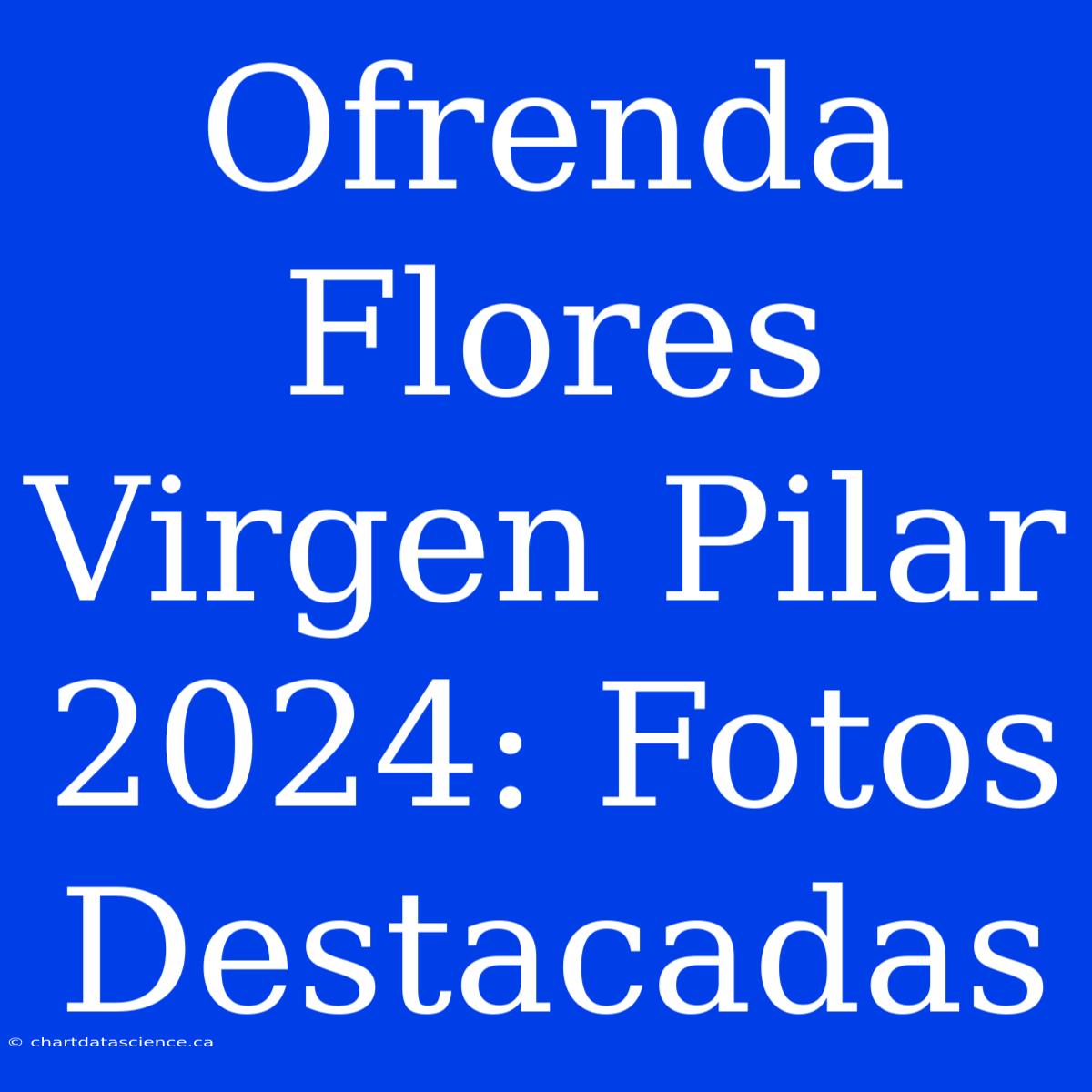 Ofrenda Flores Virgen Pilar 2024: Fotos Destacadas