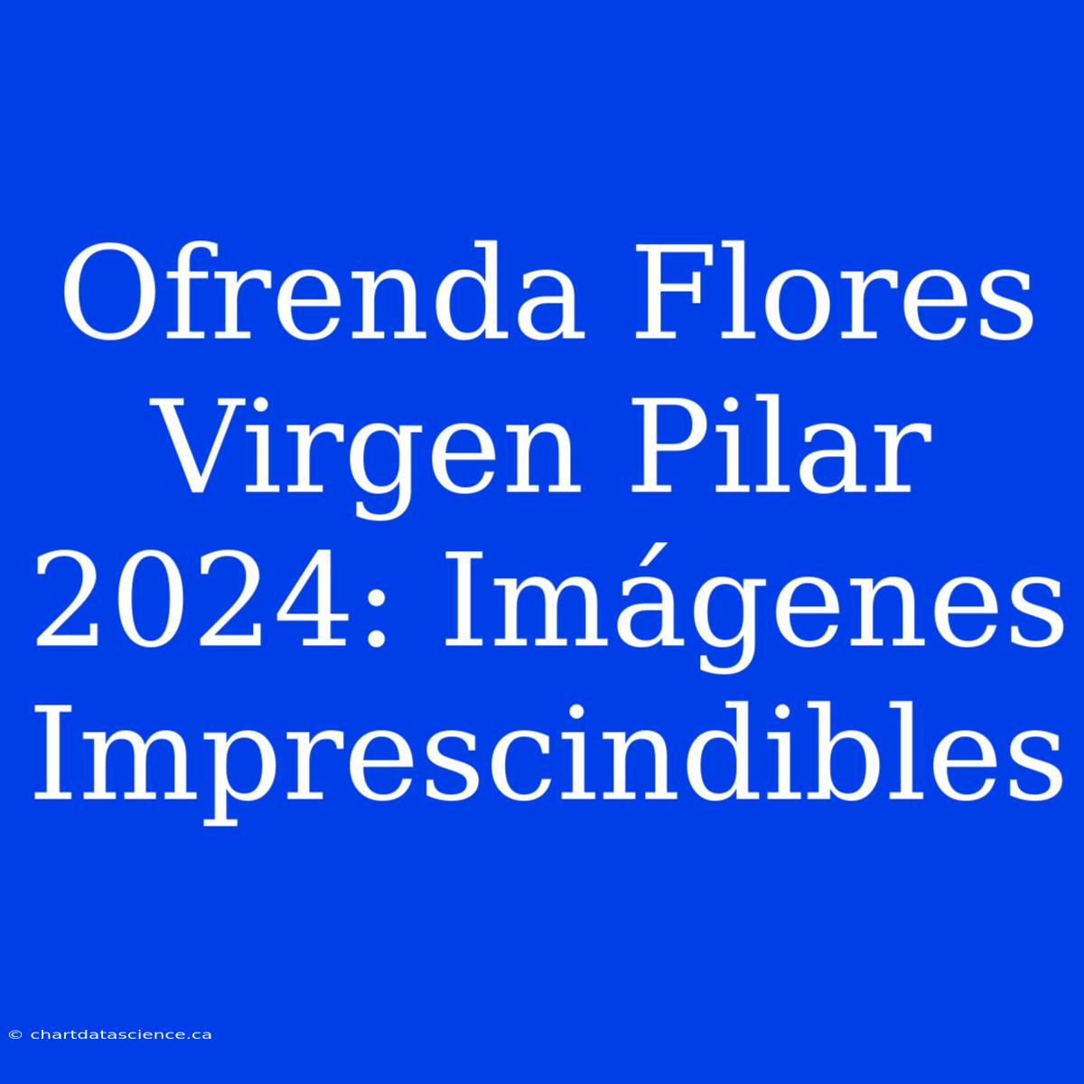 Ofrenda Flores Virgen Pilar 2024: Imágenes Imprescindibles