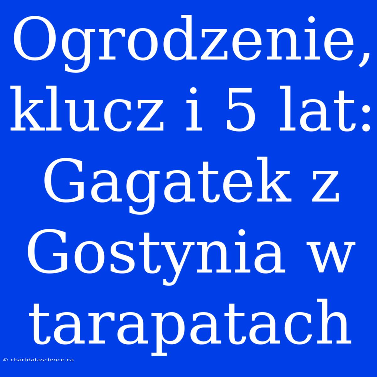 Ogrodzenie, Klucz I 5 Lat: Gagatek Z Gostynia W Tarapatach