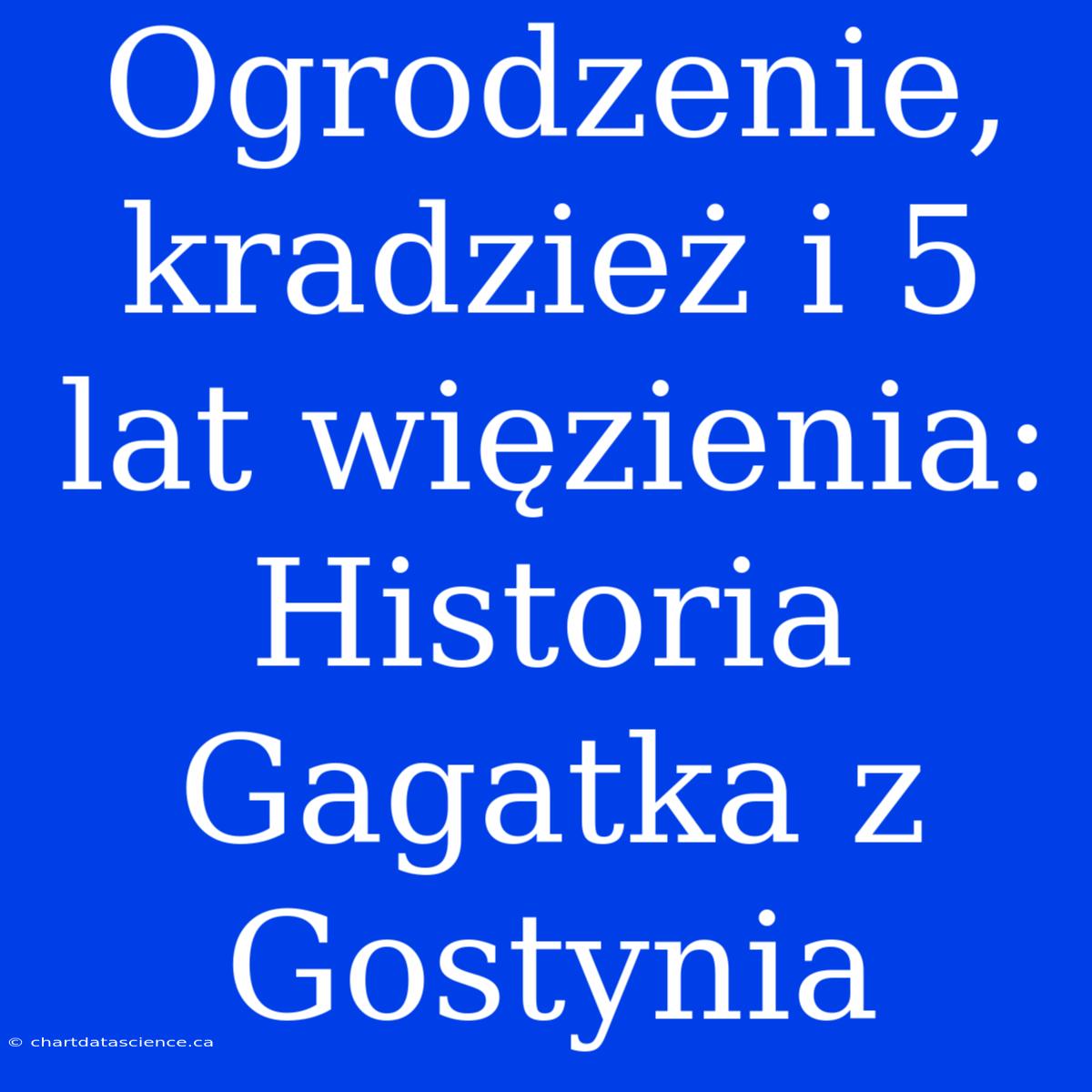 Ogrodzenie, Kradzież I 5 Lat Więzienia: Historia Gagatka Z Gostynia