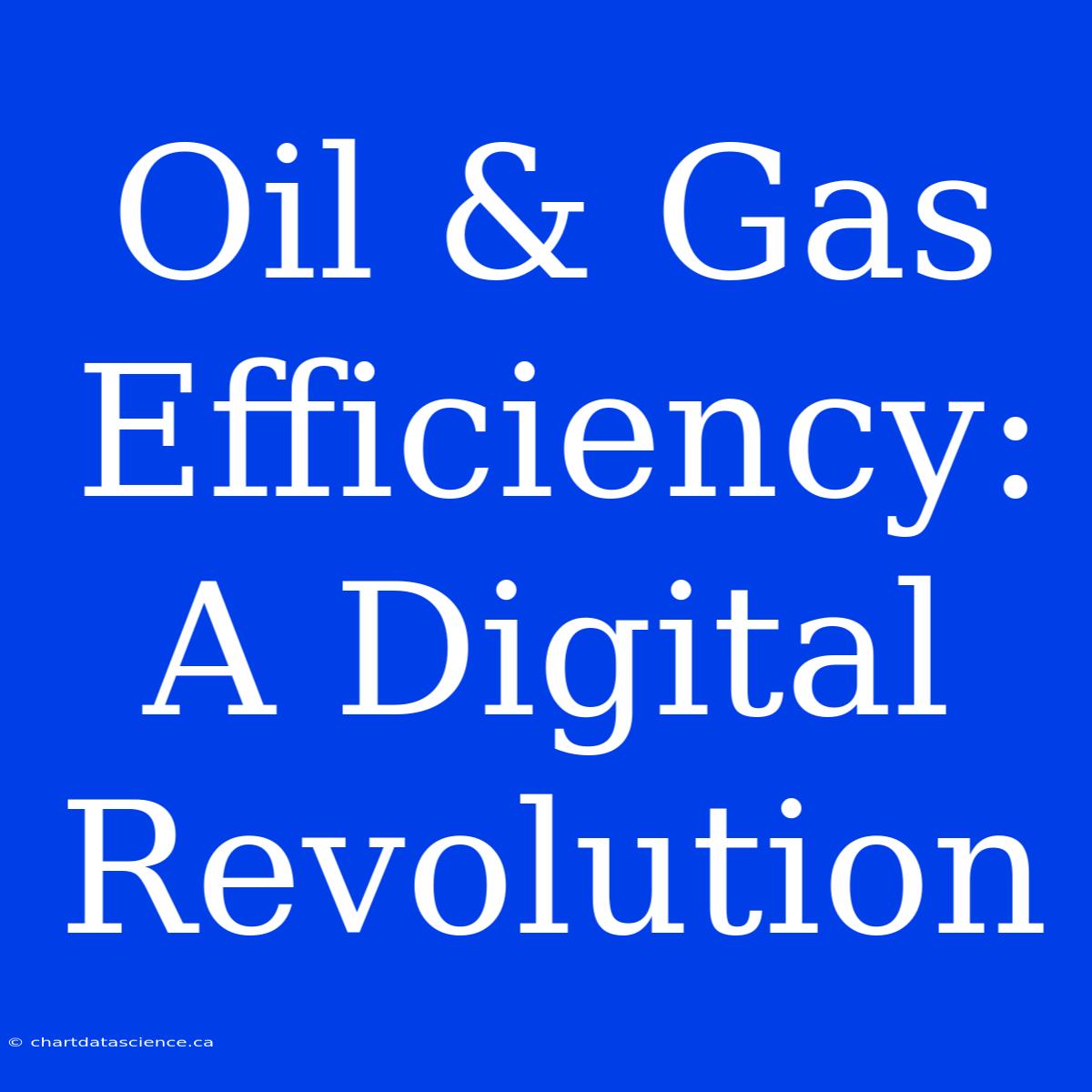 Oil & Gas Efficiency: A Digital Revolution