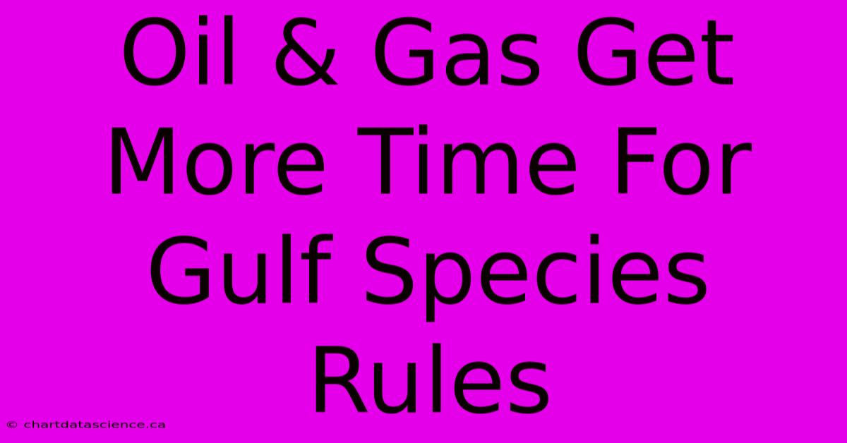 Oil & Gas Get More Time For Gulf Species Rules