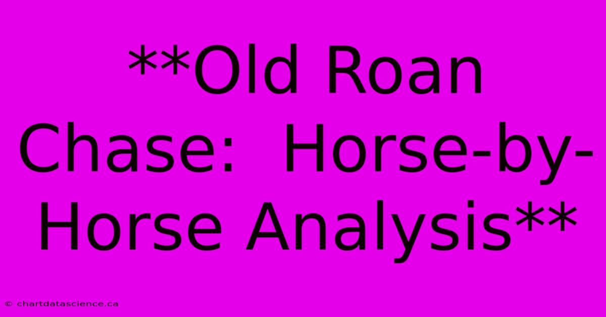 **Old Roan Chase:  Horse-by-Horse Analysis**