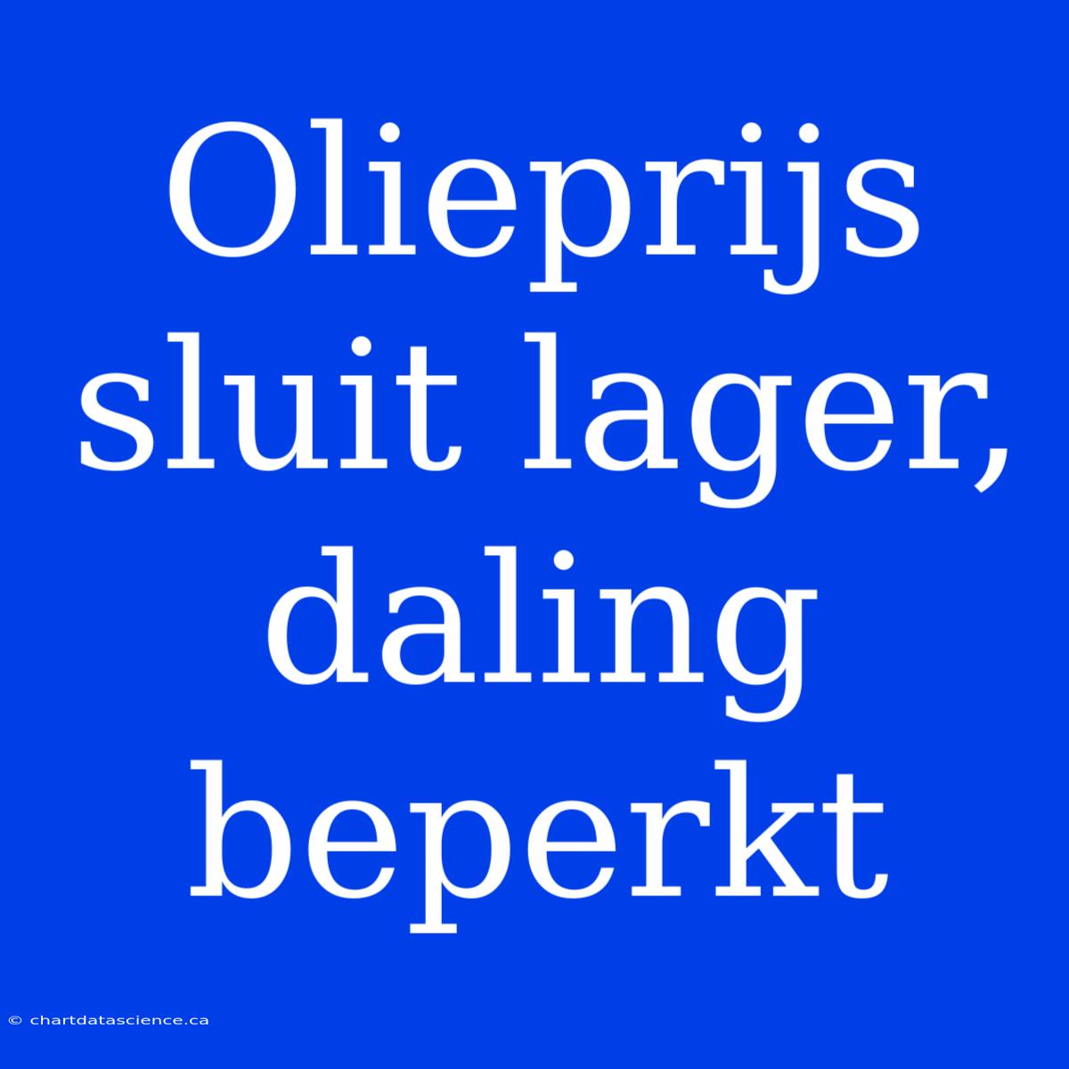 Olieprijs Sluit Lager, Daling Beperkt