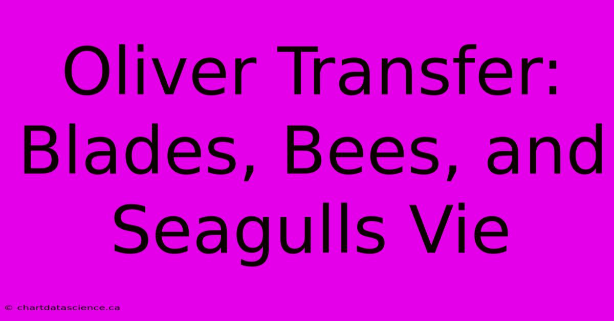 Oliver Transfer: Blades, Bees, And Seagulls Vie