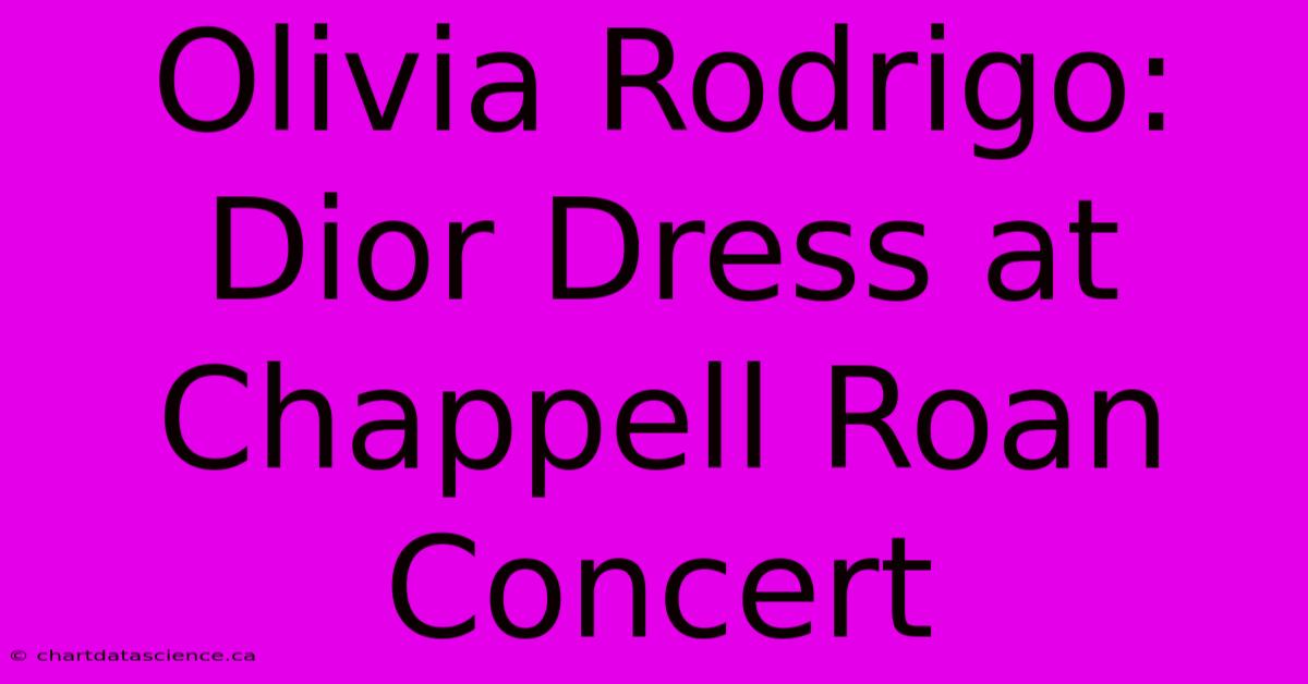 Olivia Rodrigo: Dior Dress At Chappell Roan Concert 