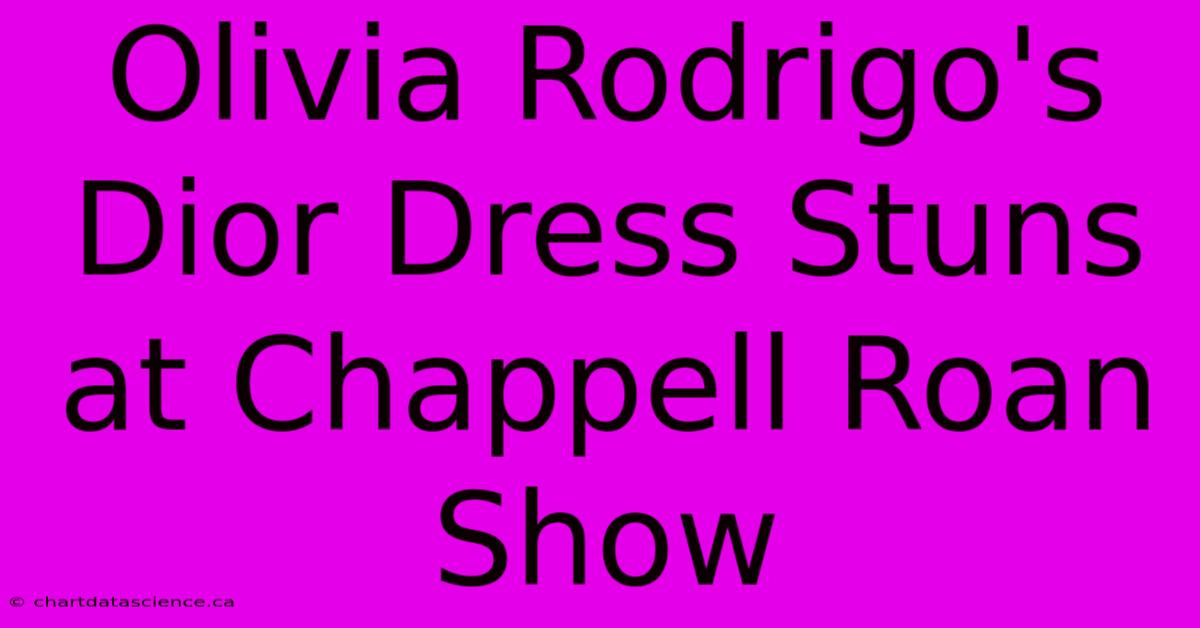 Olivia Rodrigo's Dior Dress Stuns At Chappell Roan Show