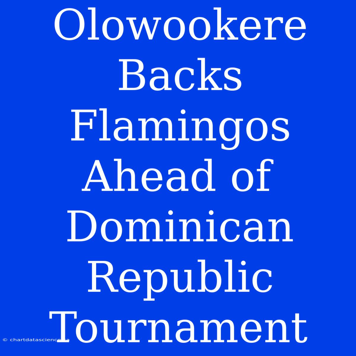 Olowookere Backs Flamingos Ahead Of Dominican Republic Tournament