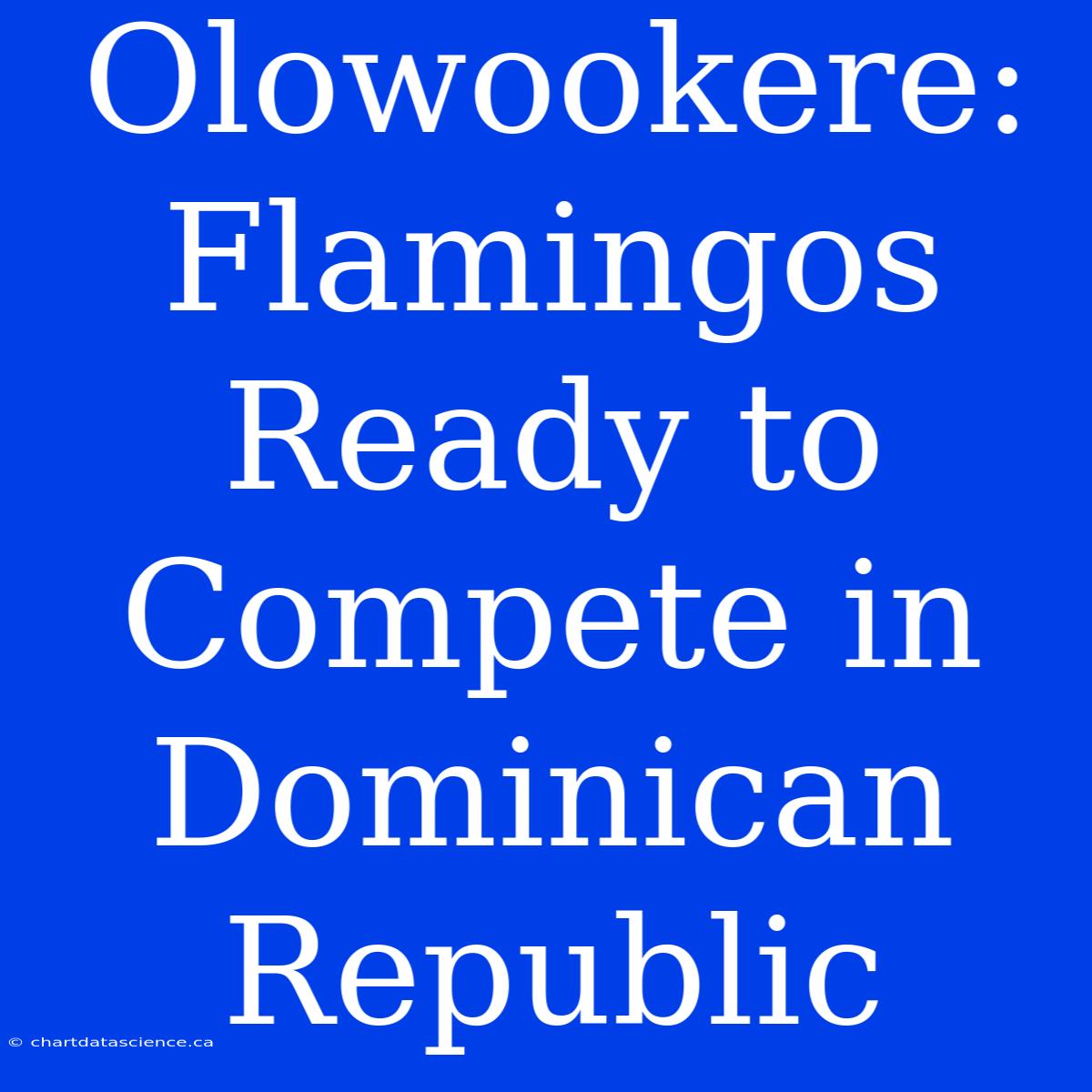 Olowookere: Flamingos Ready To Compete In Dominican Republic