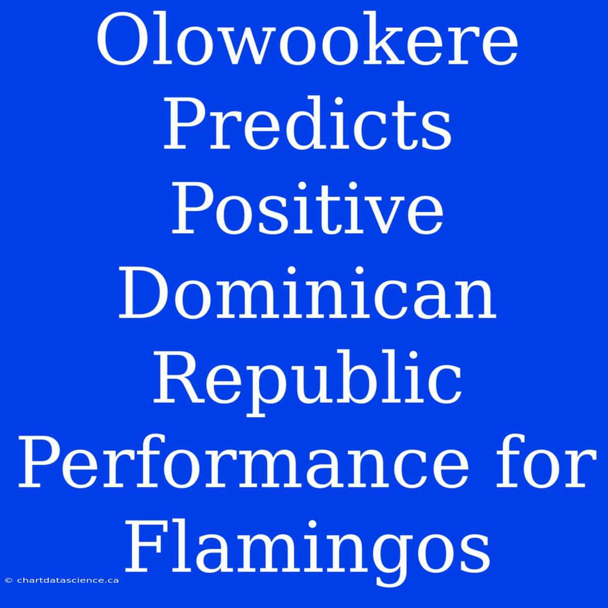 Olowookere Predicts Positive Dominican Republic Performance For Flamingos