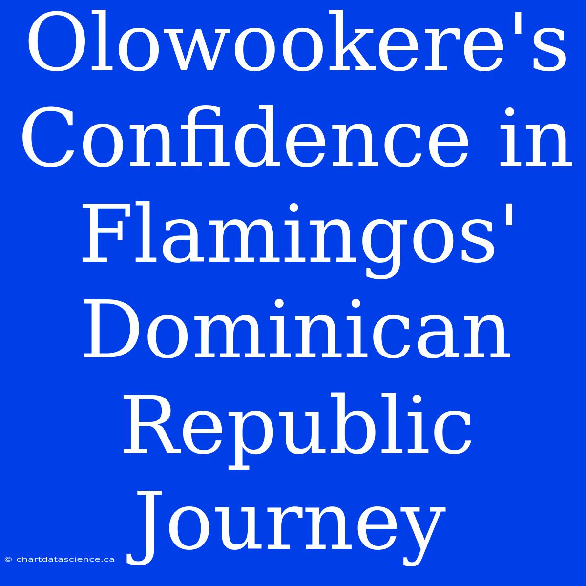 Olowookere's Confidence In Flamingos' Dominican Republic Journey