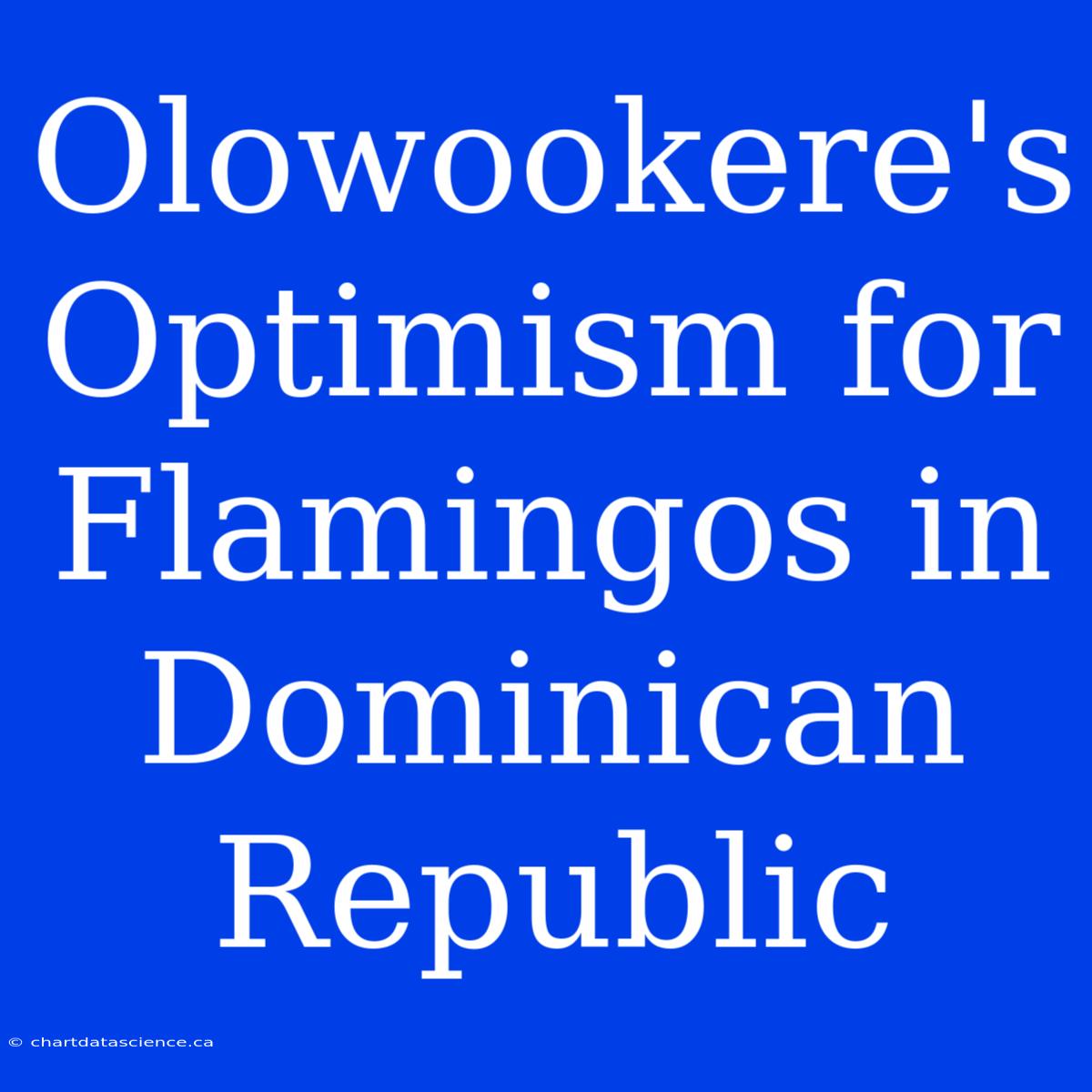 Olowookere's Optimism For Flamingos In Dominican Republic