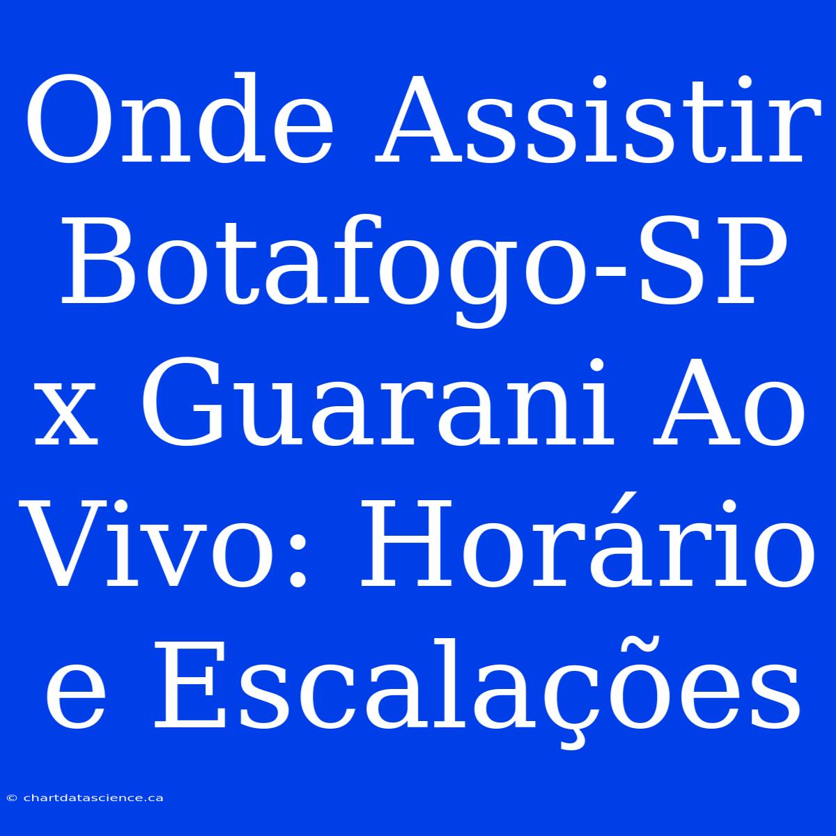 Onde Assistir Botafogo-SP X Guarani Ao Vivo: Horário E Escalações