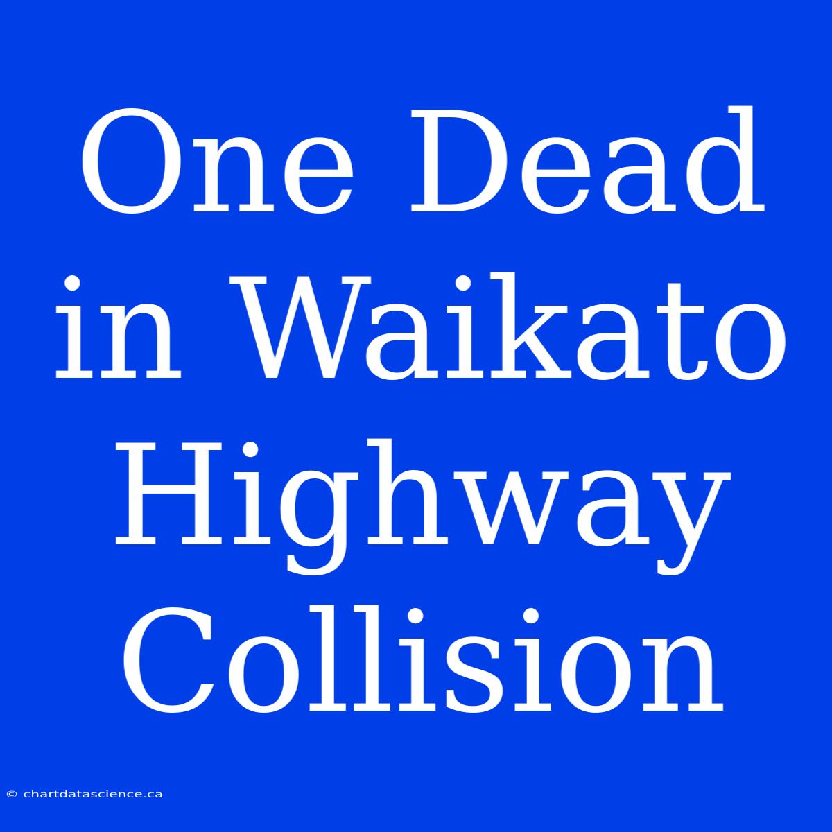 One Dead In Waikato Highway Collision