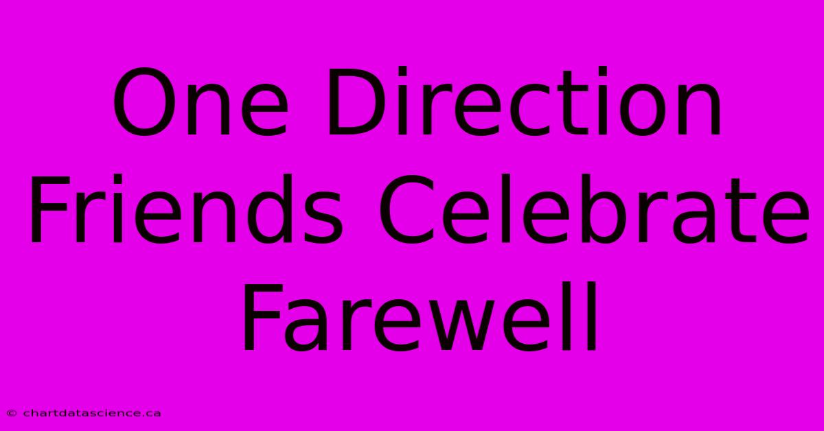 One Direction Friends Celebrate Farewell