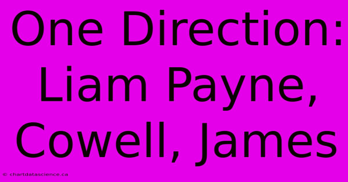 One Direction: Liam Payne, Cowell, James