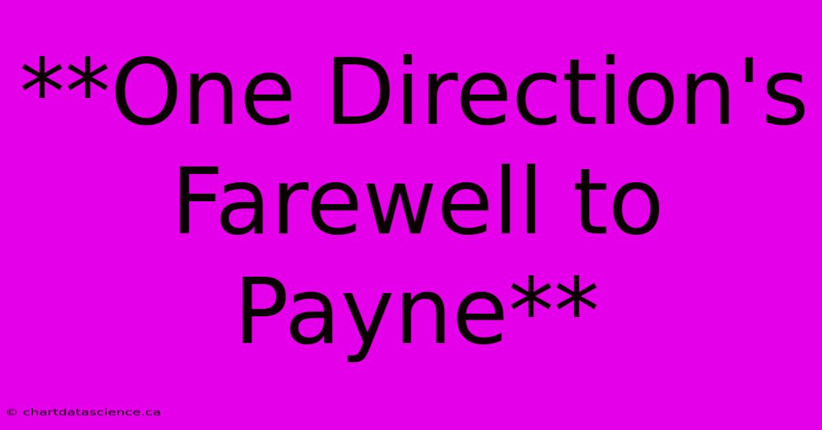 **One Direction's Farewell To Payne**