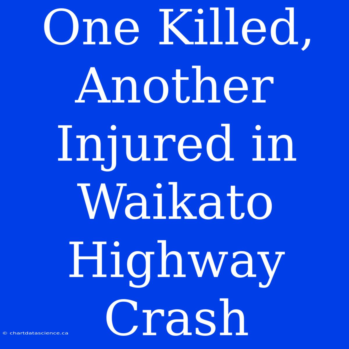 One Killed, Another Injured In Waikato Highway Crash