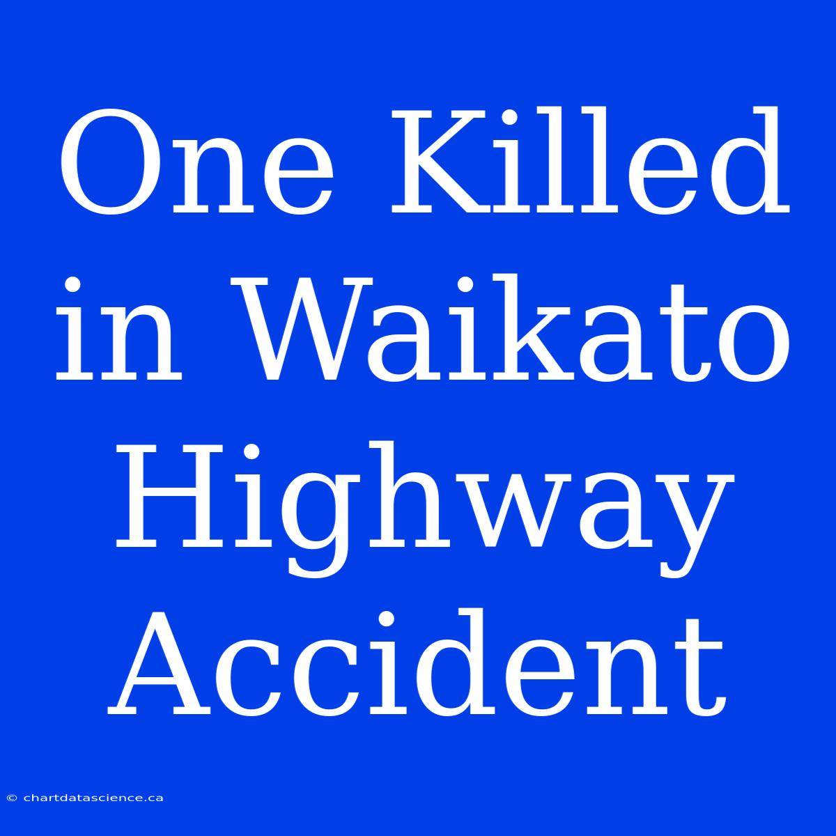 One Killed In Waikato Highway Accident