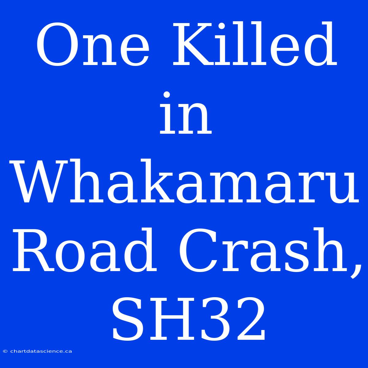 One Killed In Whakamaru Road Crash, SH32