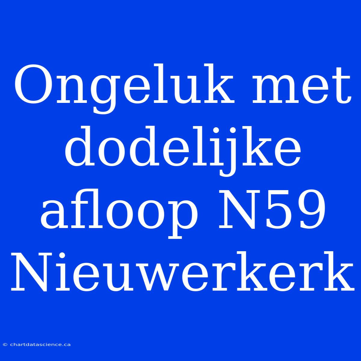 Ongeluk Met Dodelijke Afloop N59 Nieuwerkerk