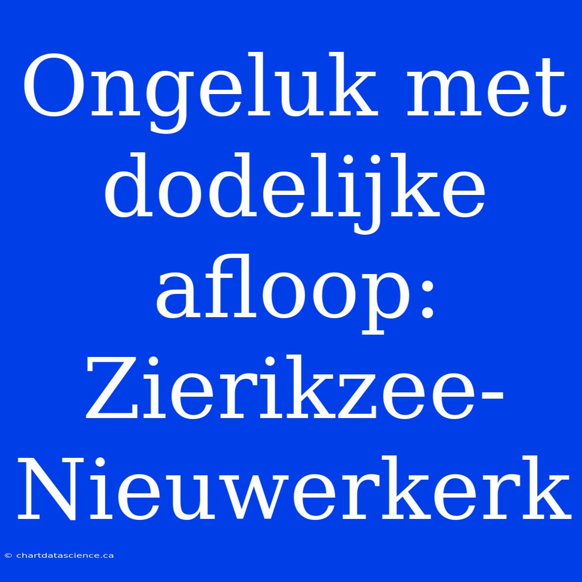 Ongeluk Met Dodelijke Afloop: Zierikzee-Nieuwerkerk