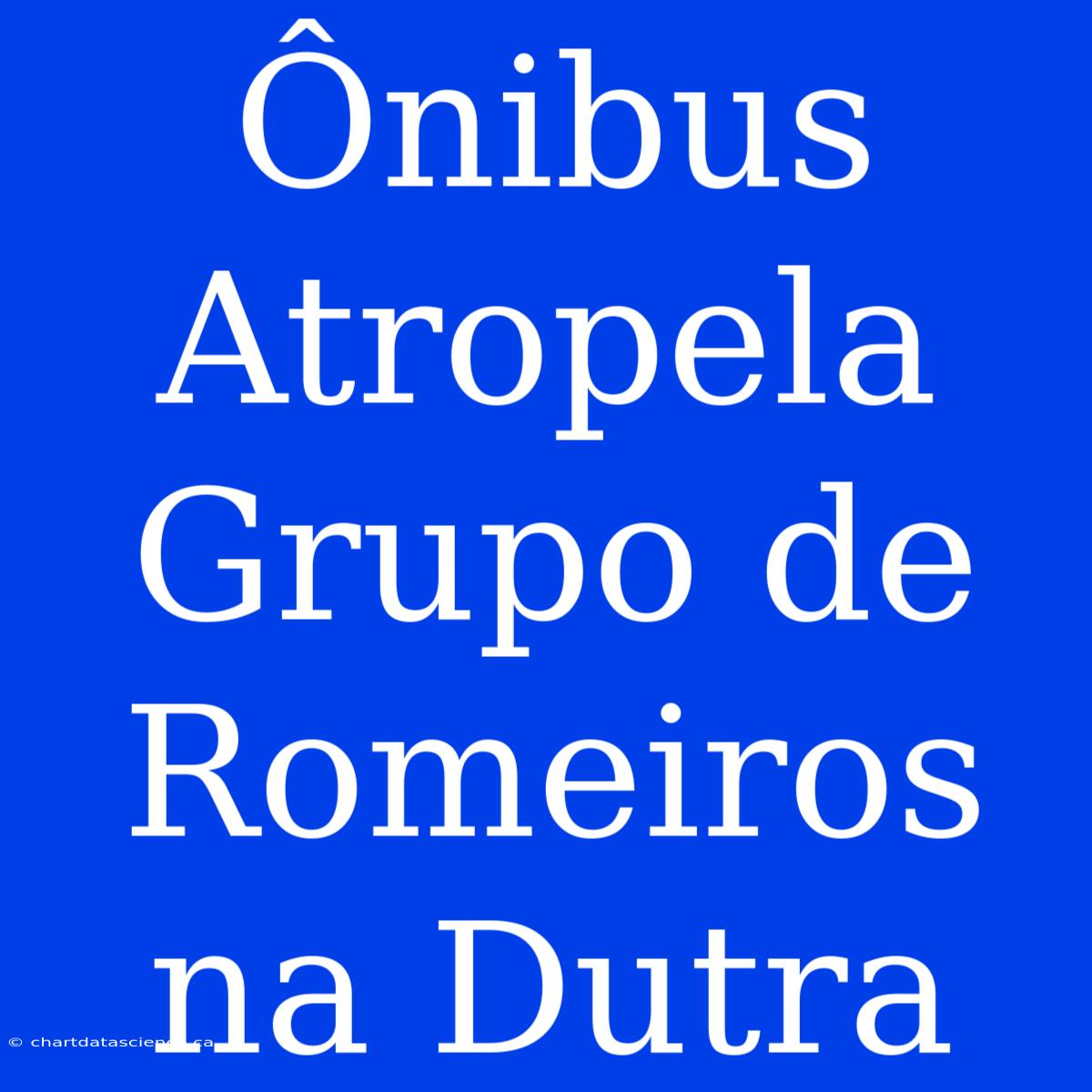 Ônibus Atropela Grupo De Romeiros Na Dutra