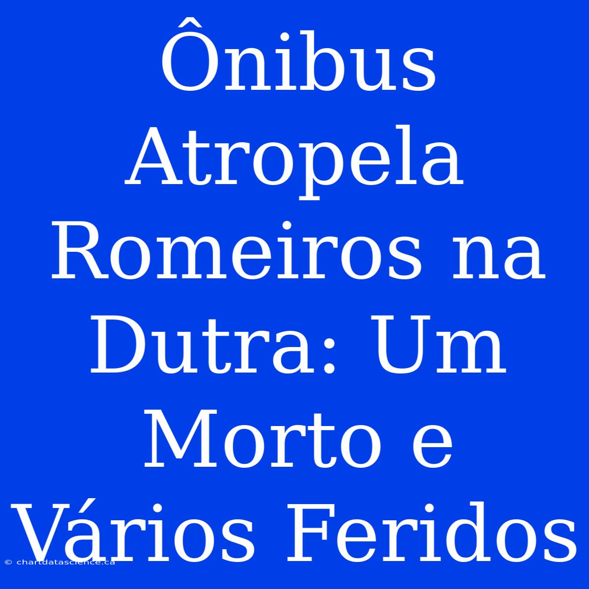 Ônibus Atropela Romeiros Na Dutra: Um Morto E Vários Feridos