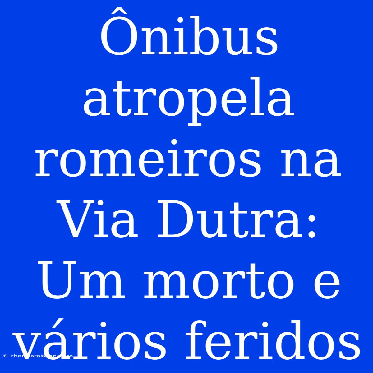 Ônibus Atropela Romeiros Na Via Dutra: Um Morto E Vários Feridos