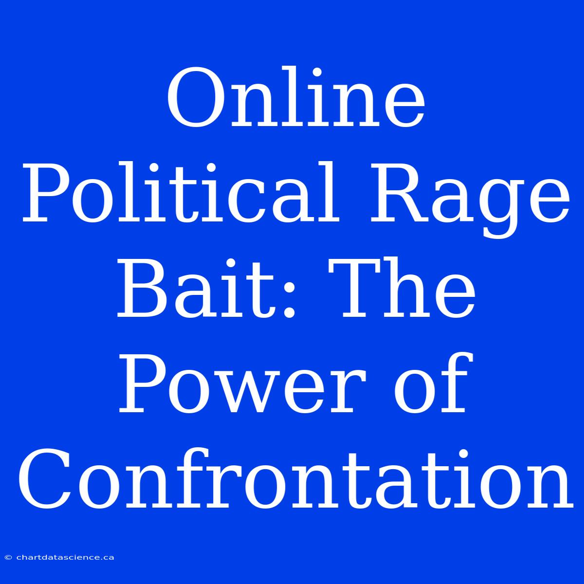 Online Political Rage Bait: The Power Of Confrontation