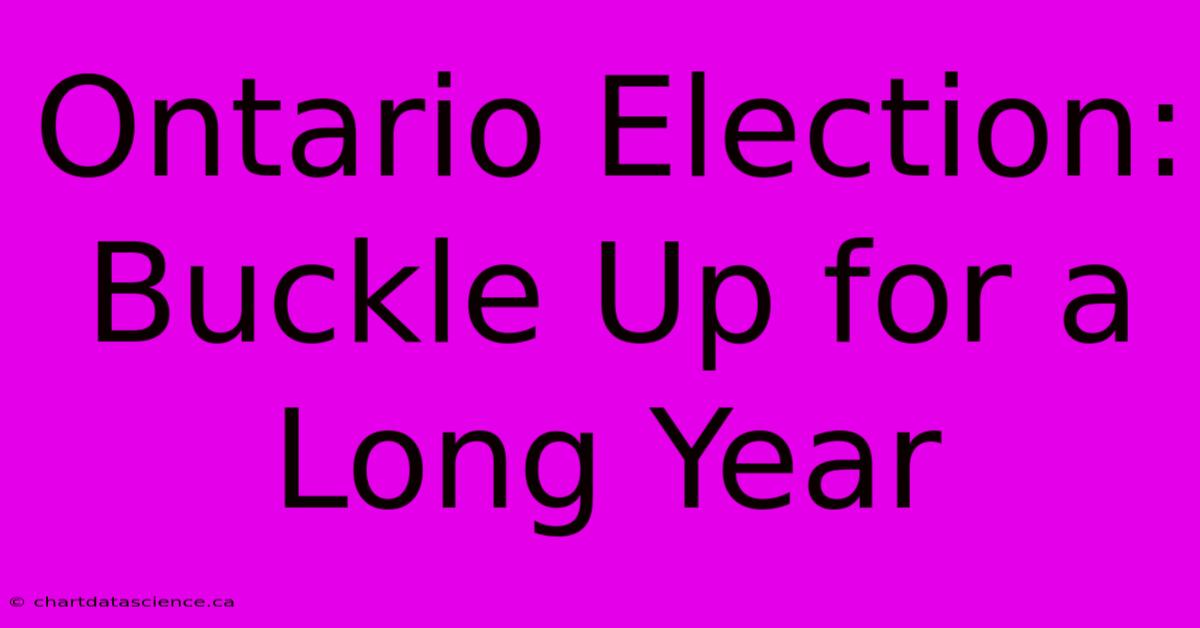 Ontario Election: Buckle Up For A Long Year